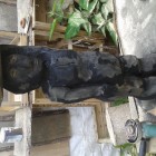 Stummer diener, Black Man, Skulptur, Kettensäge, Berlin , Brandenburg, geschnitzt, Handmade, Holz