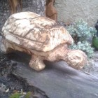 Schildkröte auf Weg, Skulptur, Kettensäge, Berlin , Brandenburg, geschnitzt, Handmade, Holz