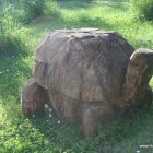 Schildkröte groß, Skulptur, Kettensäge, Berlin , Brandenburg, geschnitzt, Handmade, Holz